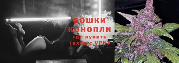 спиды Медногорск