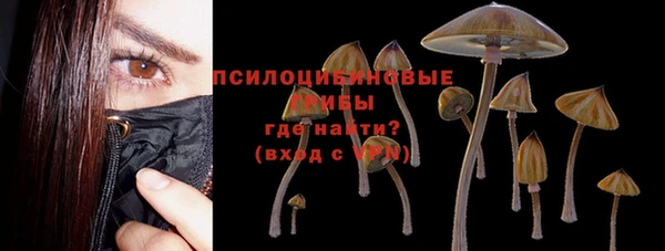 спиды Медногорск