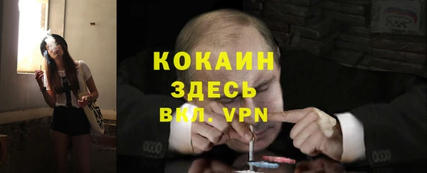 спиды Медногорск