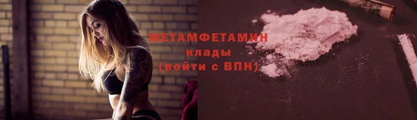 шишки Пионерский