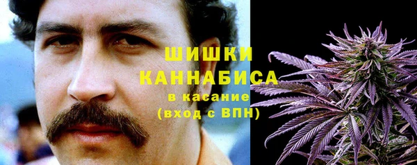 спиды Медногорск