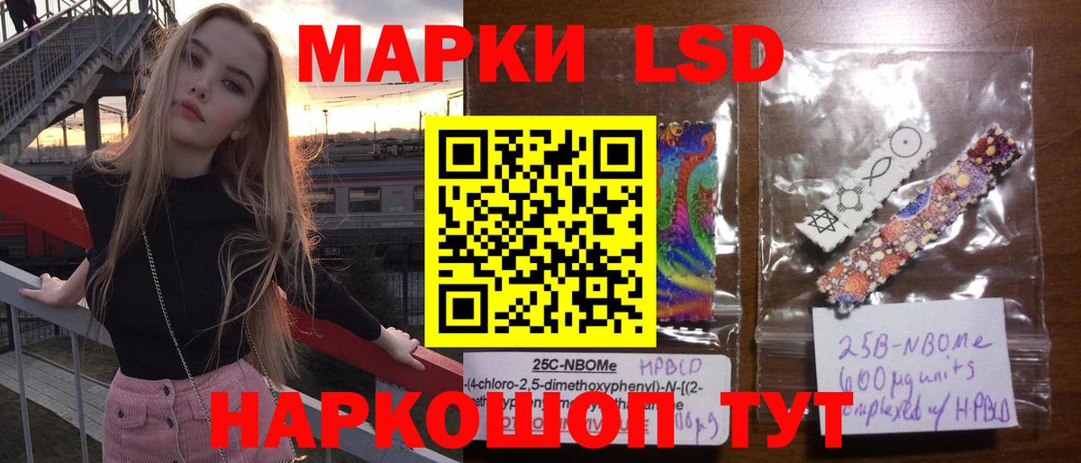 МЕФ Грозный