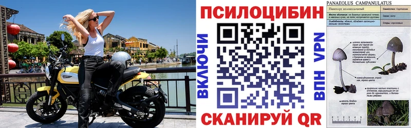 Галлюциногенные грибы мухоморы  Грозный 