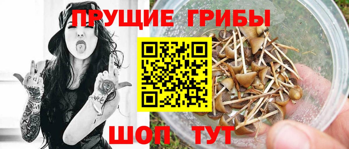 Псилоцибиновые грибы ЛСД Грозный