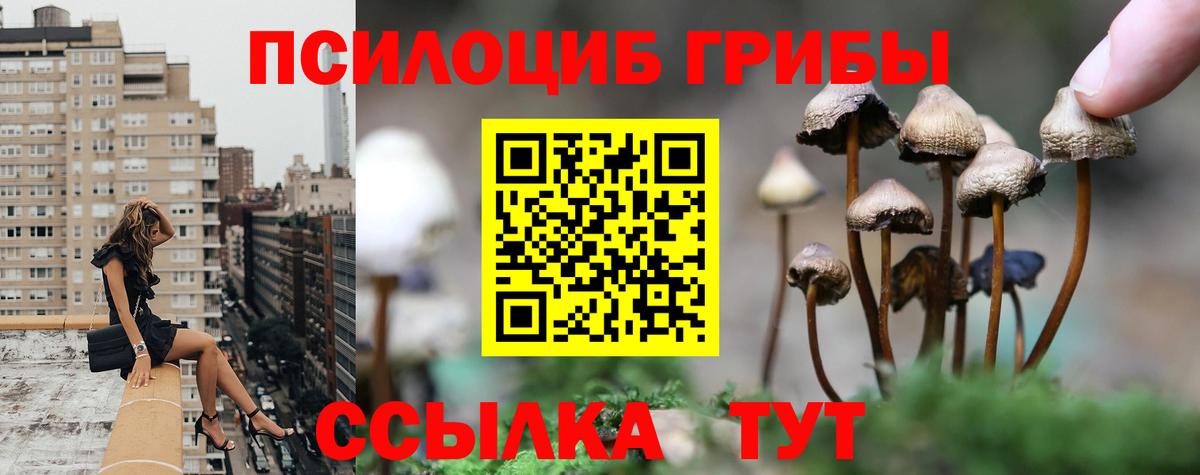 Грозный  наркотики  Вход с VPN  Галлюциногенные грибы мухоморы 