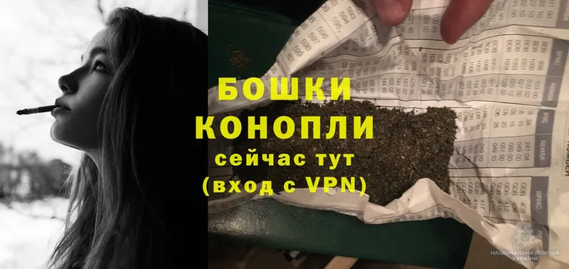 Конопля OG Kush  Грозный 